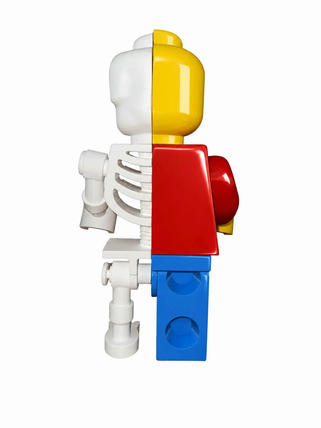 Rear view of the Skeleton Fig — spine and ribs down one side, the back of the classic figure down the other