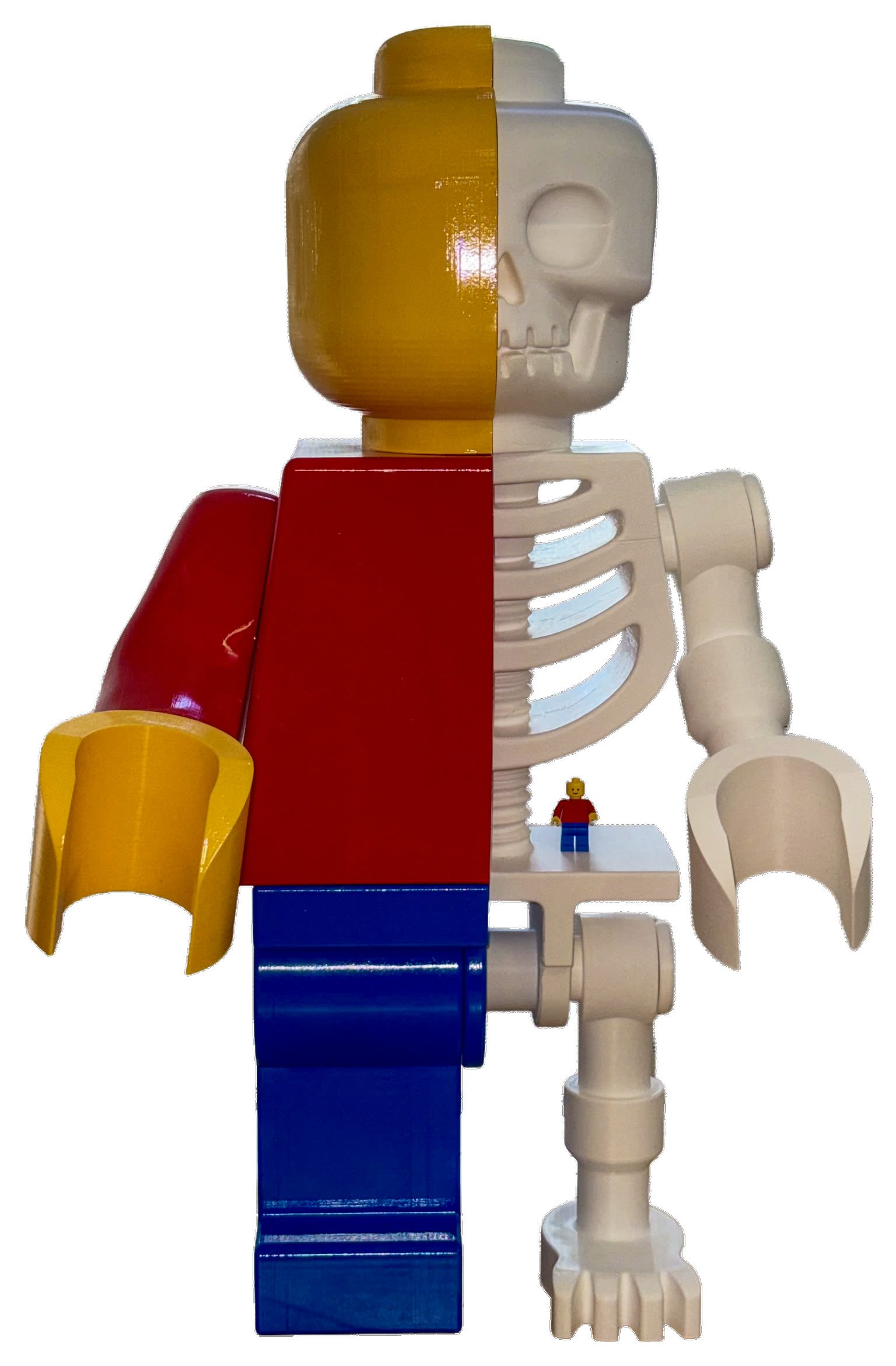 The 24-inch Skeleton Fig on white, with a standard minifigure standing on the ledge of its skeleton hip for scale